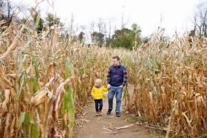 Corn mazes in Branson to take your family