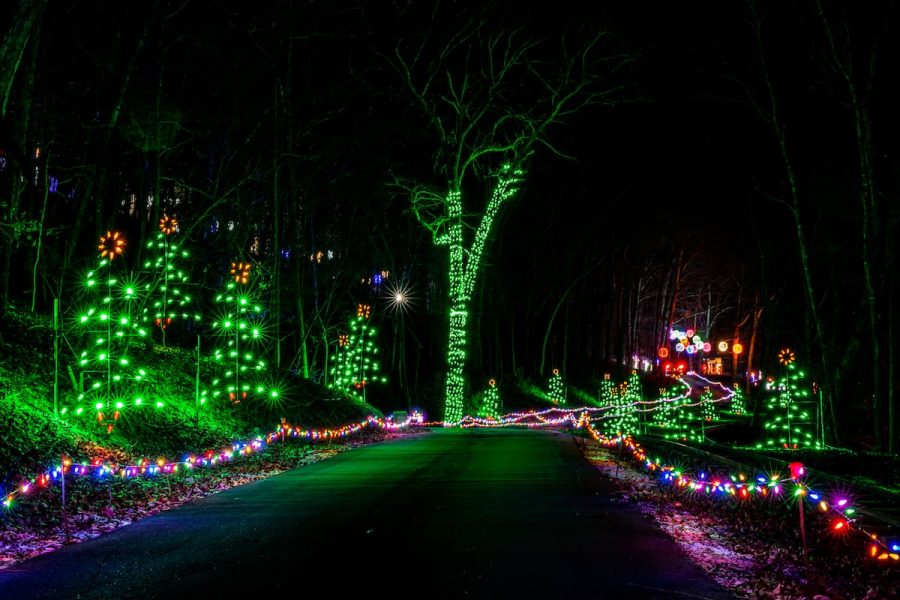 Trail of Lights by Shepherd of the Hills