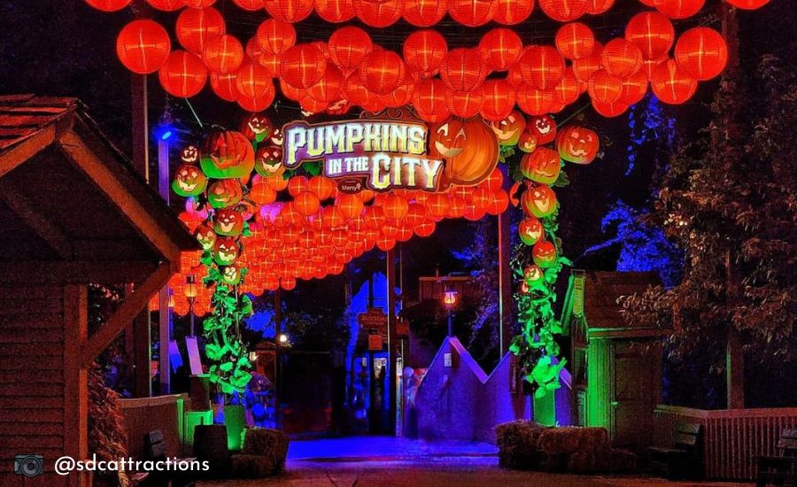 pumpkins in the city